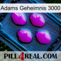 Adams Secret 3000 04